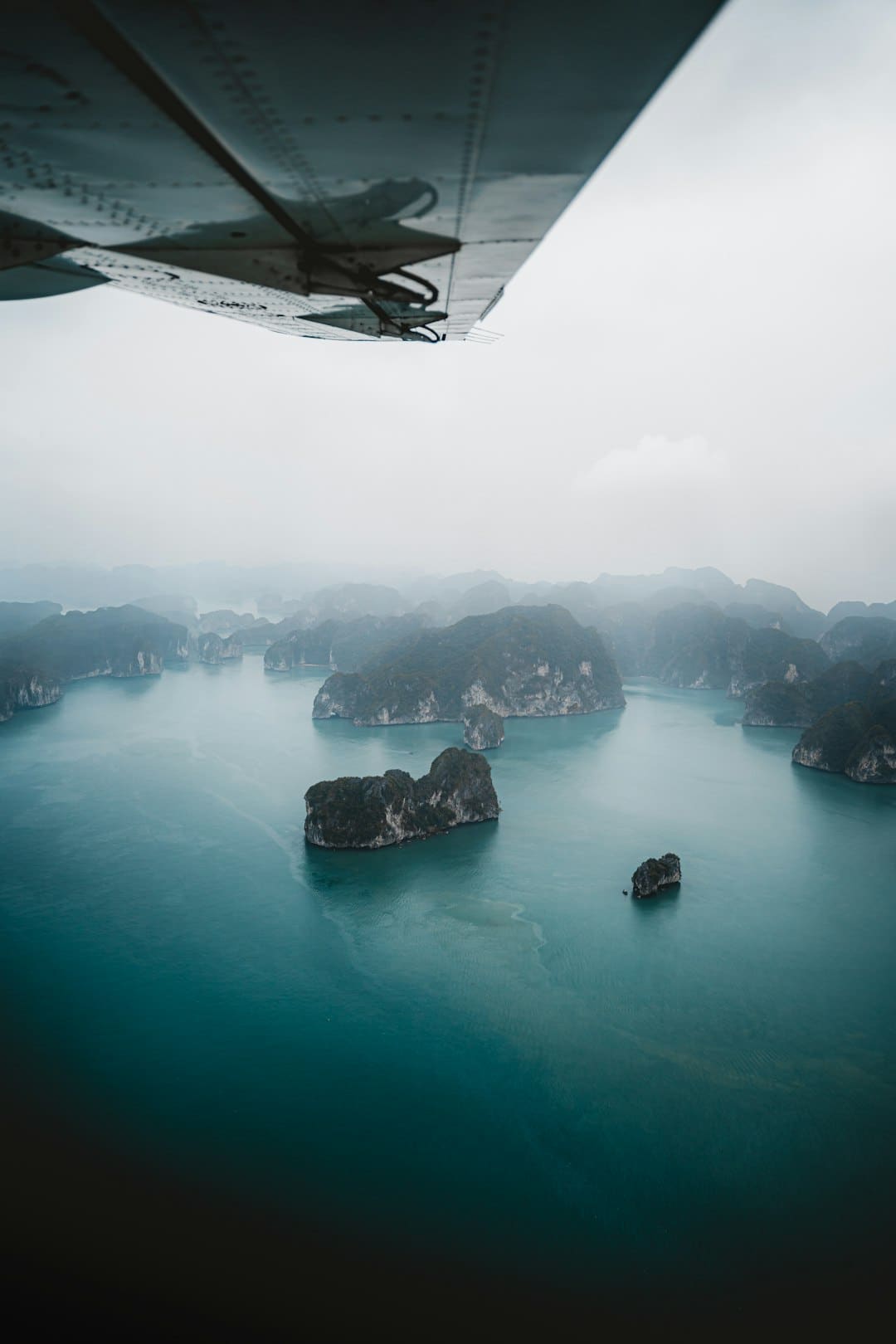 破解消费出资暗码：向“新”而行
